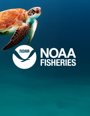 Uniting oceans of data under one digital current